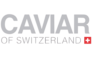 Brand Logo 12